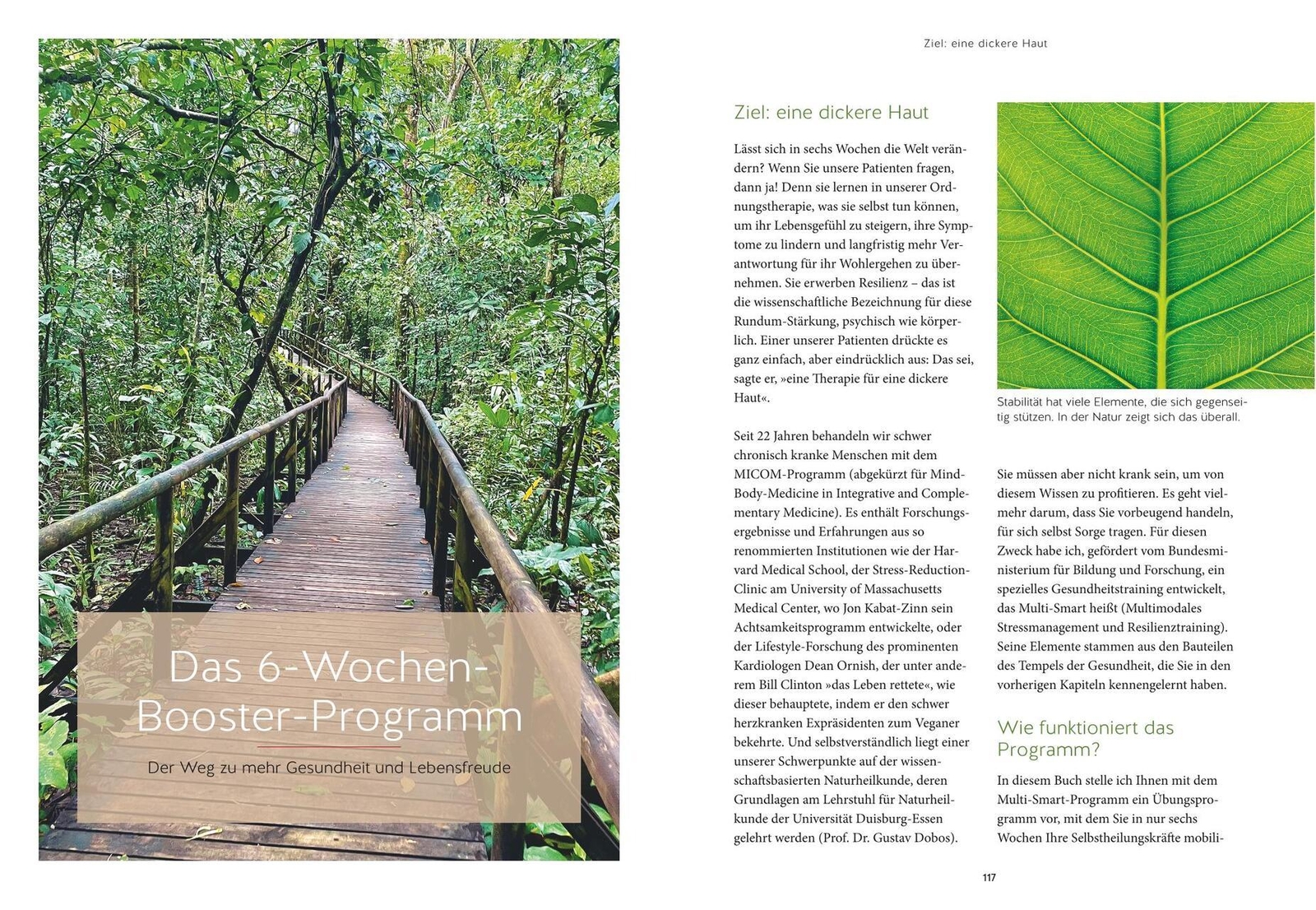 Thumbnail - Hallo Körper, Du Kannst Das Anna Paul