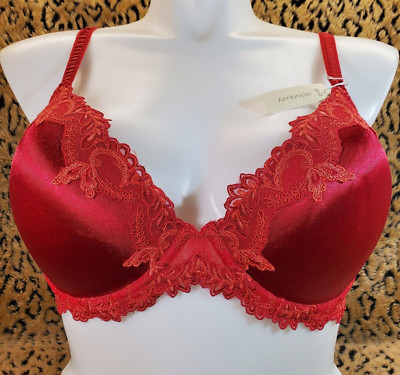 Ambrielle 40D Sheer Red Floral Lace Padded Push Up Bra