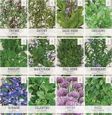 Herb Seeds Variety Pack Culinary Herb Collection (12 Individual Herbs for P