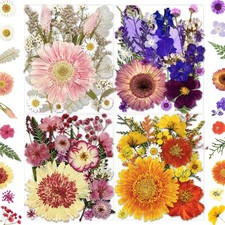 98Pcs Pressed Dried Flowers for Resin Molds, Natural Bulk Floral Leaves