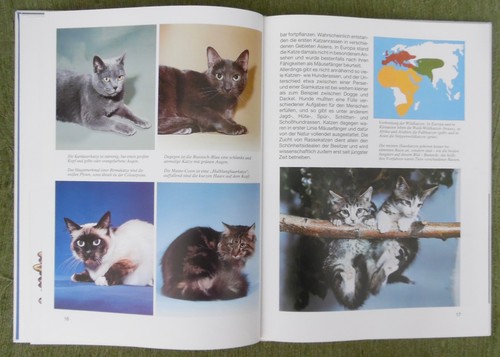 Was ist Was Band 59 , Katzen , Dr Rainer Köthe , Tessloff Verlag , HC , 1991 - Picture 11 of 12