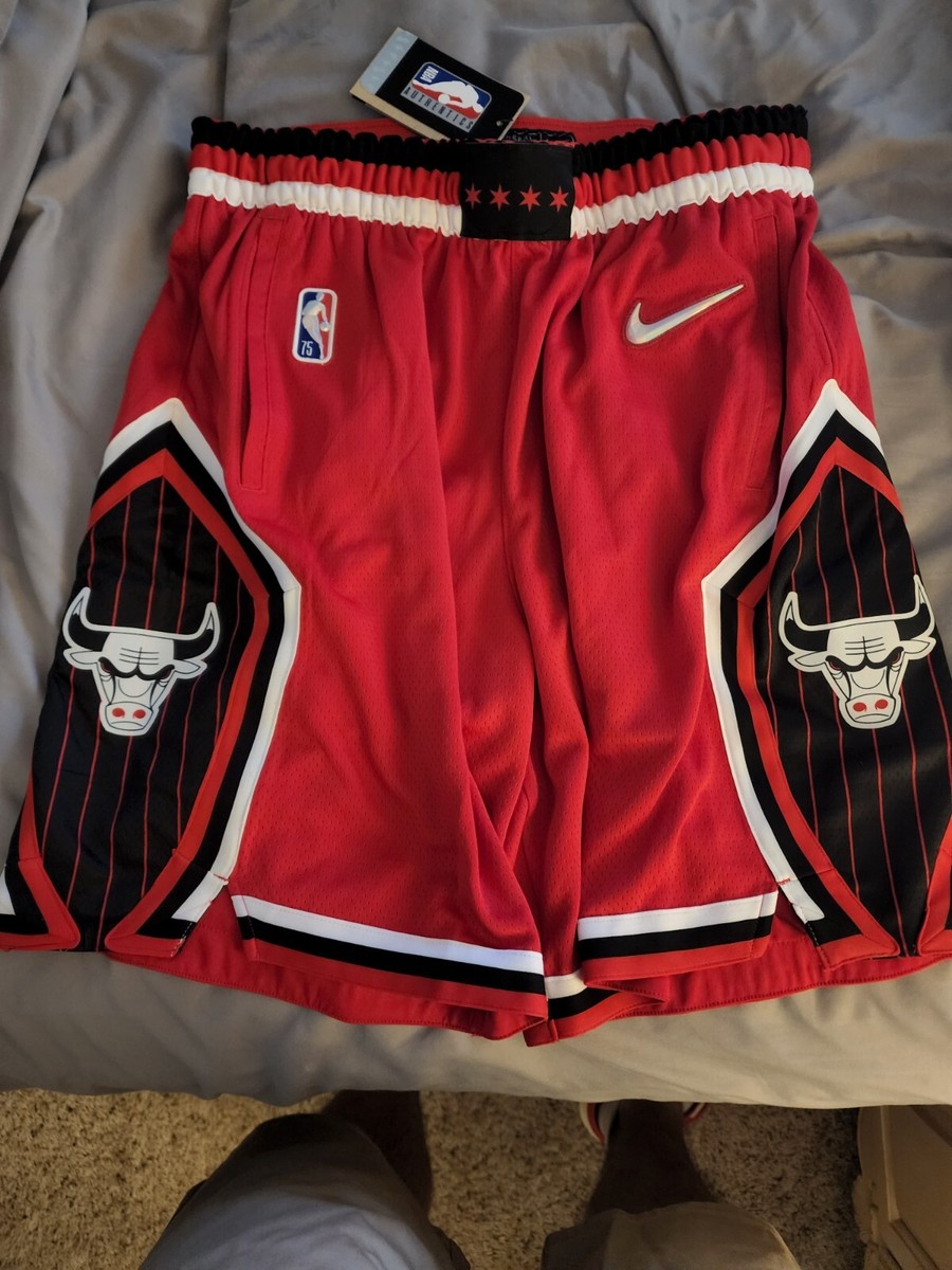 Chicago Bulls Nike 2021/22 City Edition Swingman Shorts Red Black size  Large NWT