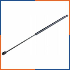 Verin de hayon / de capot Citroen GS