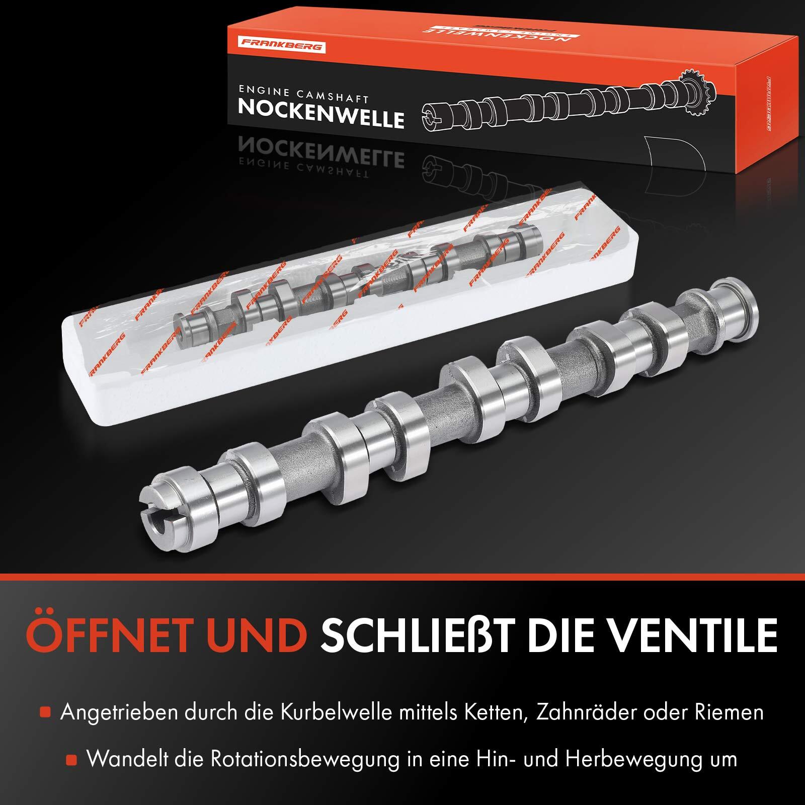 Bild 5 von 8