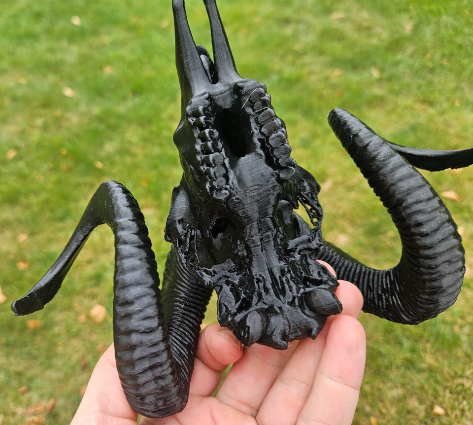 LARGE Black 3D Printed Ram Skull Realistic Ram/Goat/Sheep Custom Colors ...