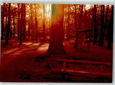 10568188 - 4060 Viersen Nature Park Schwalm-Nette
