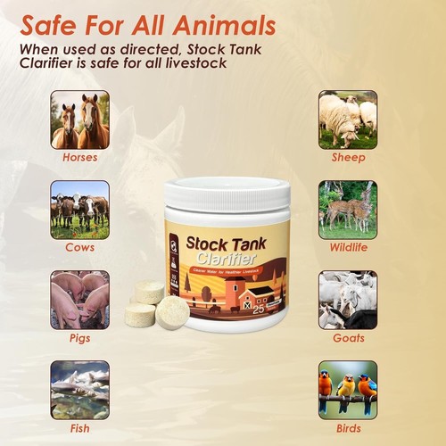 STOCK TANK CLARIFIER - IMPROVES LIVESTOCK WATER SAFE FOR HORSES, CATTLE, SHEEP - 第 1/8 張圖片
