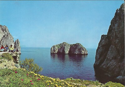 19555 - Postkarte zeigt Tragara Hafen in Capri