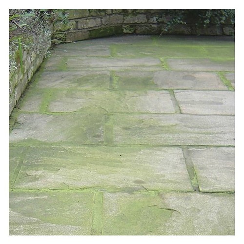 Tarmac Drive Patio Roof Biocide GREEN & ALGAE Killer (Previously Moss