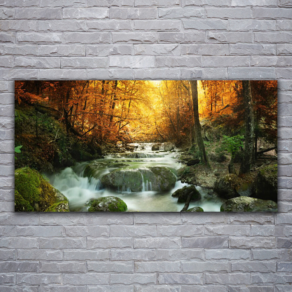 Tableau impression verre acrylique nature cascade forêt 120x60