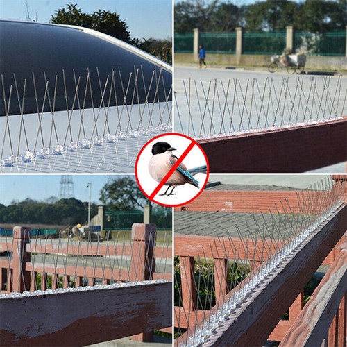 Bird Spikes Anti Pigeon Deterrent Kit Bird Spikes Anti Climb Security Wall Fence - Picture 16 of 28