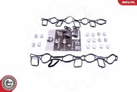 Esen Skv 49SKV519 Reparatursatz, Saugrohrmodul FüR Audi,Porsche,Vw