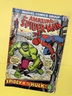 Amazing Spider-Man #119 KEY Classic Hulk Battle Marvel Comics 1973 Low Grade