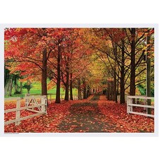Autumn Road Disposable Paper Placemats - 10in. x 14in. - 25 Pack 702078-AR 
