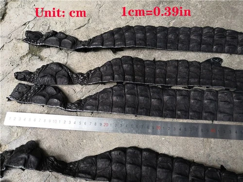 1X Real Crocodile Bone Leather Alligator Skin Hide Fish Bone Scraps DIY Keychain - Picture 8 of 10