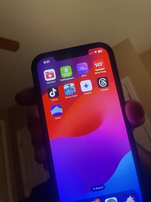 iPhone 12 Pro Max Unlocked With Tiktok.