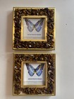 pair of gem chip photo frames tigers eye NEW