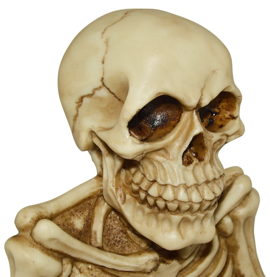 Soporte de papel higiénico esqueleto con ranura para cerradura para montaje en pared, calavera espeluznante Foto 2 de 4