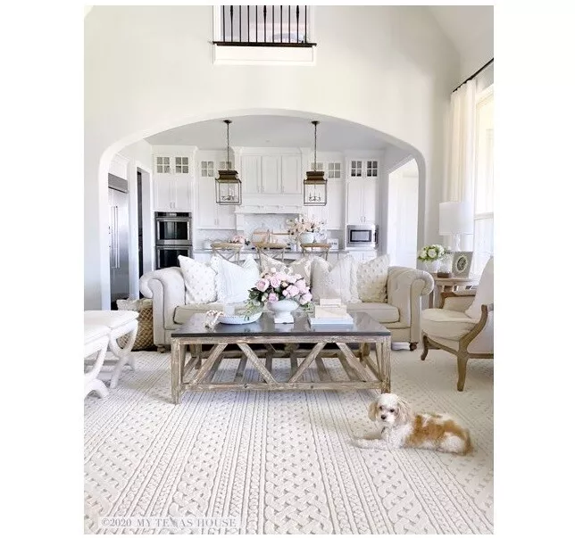 Mytexashouse rugs sale