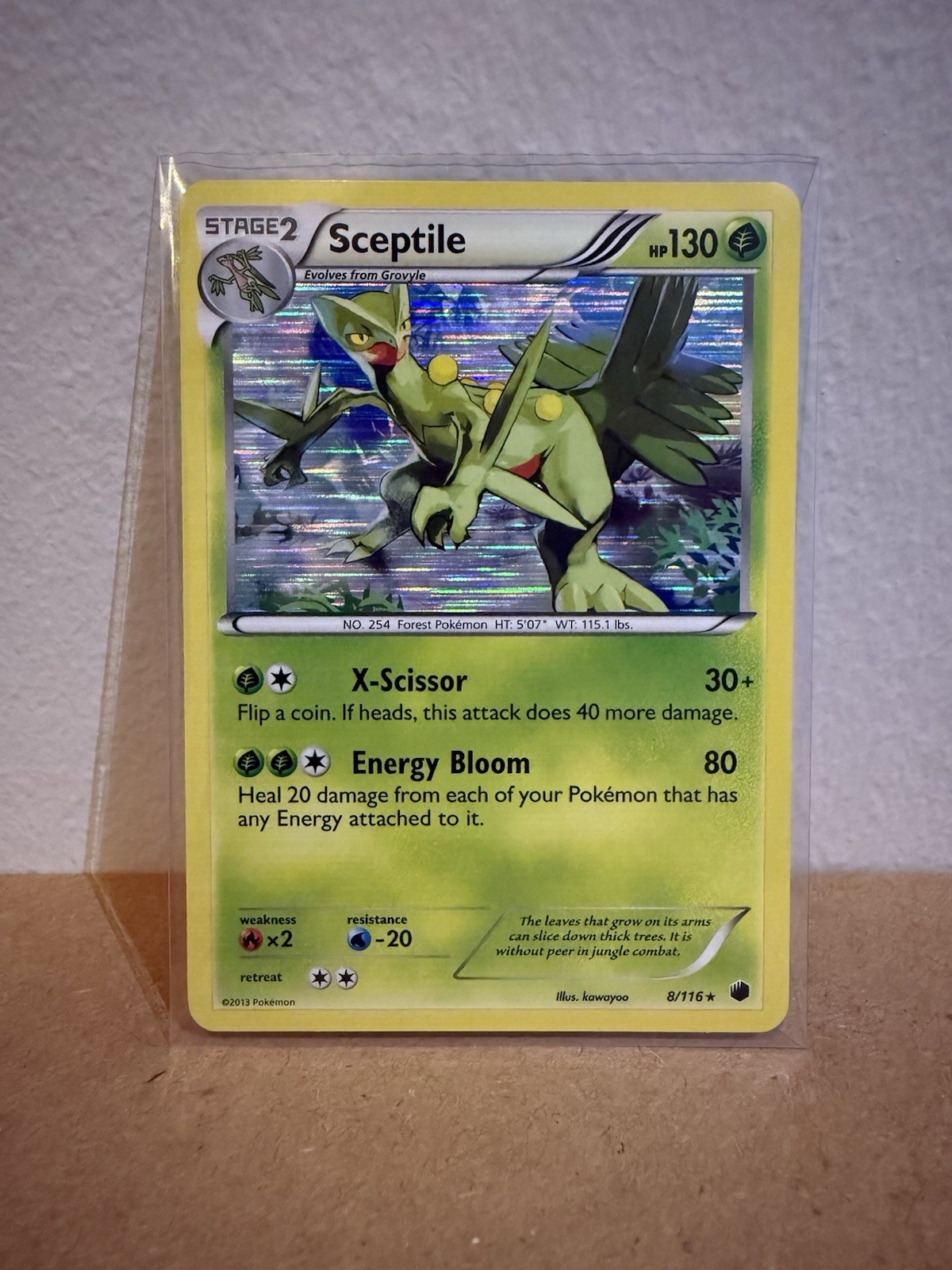Sceptile 8/116 Holo Rare Pokemon TCG Plasma Freeze