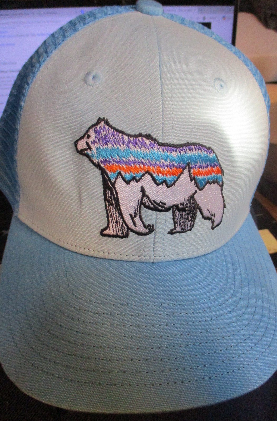 NWOT PATAGONIA Bear Logo Blue Mesh Trucker Snapback Youth Ha