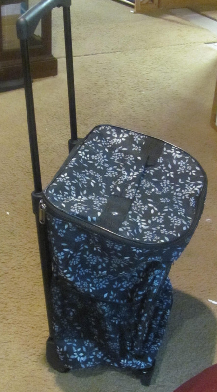 Rolling, On-the-Go Shopping Trolley Suitcase 21" Retractable Handle