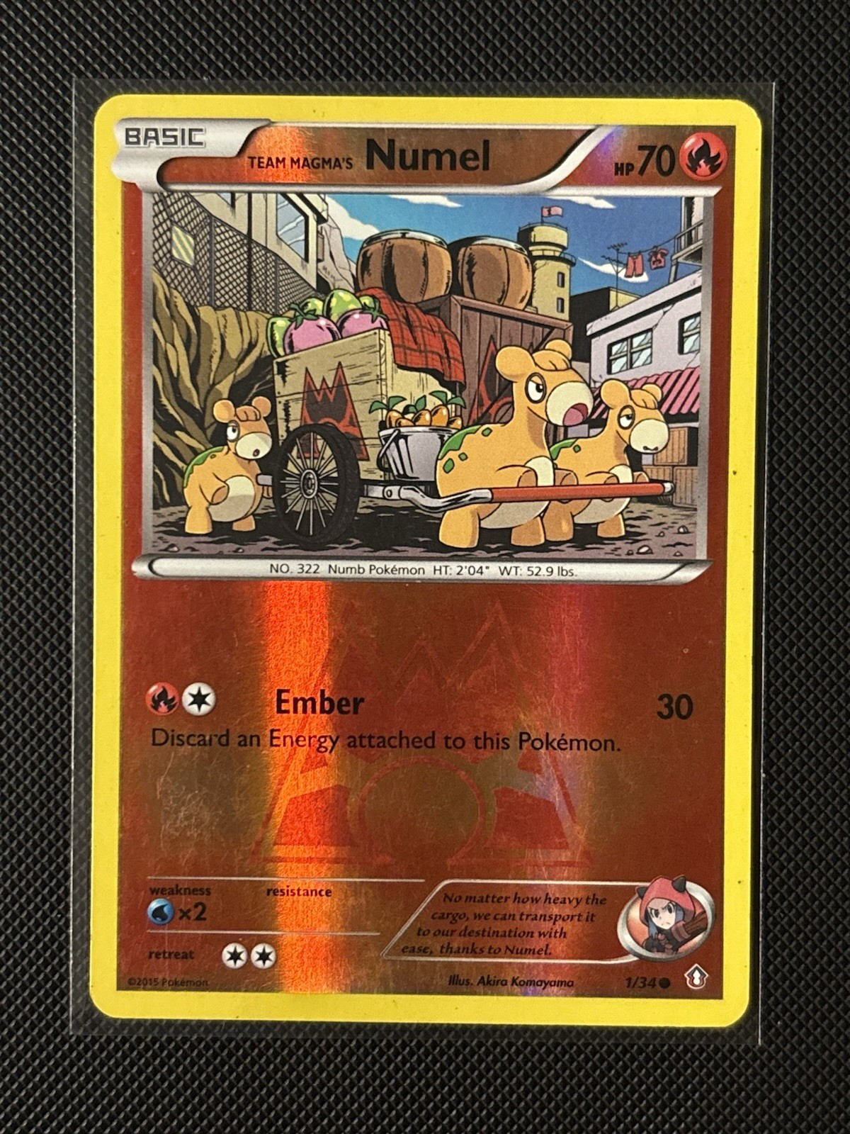 Team Magma's Numel 1/34 - XY Double Crisis - Reverse Holo - LP