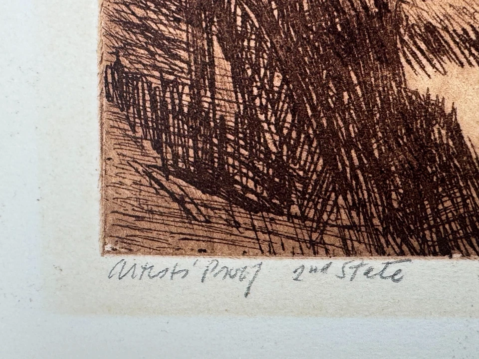 SHIRLEY GORELICK GRABADO LAURIE & DAVID RETRATO AFROAMERICANO ARTE NEGRO AFRO Foto 3 de 4