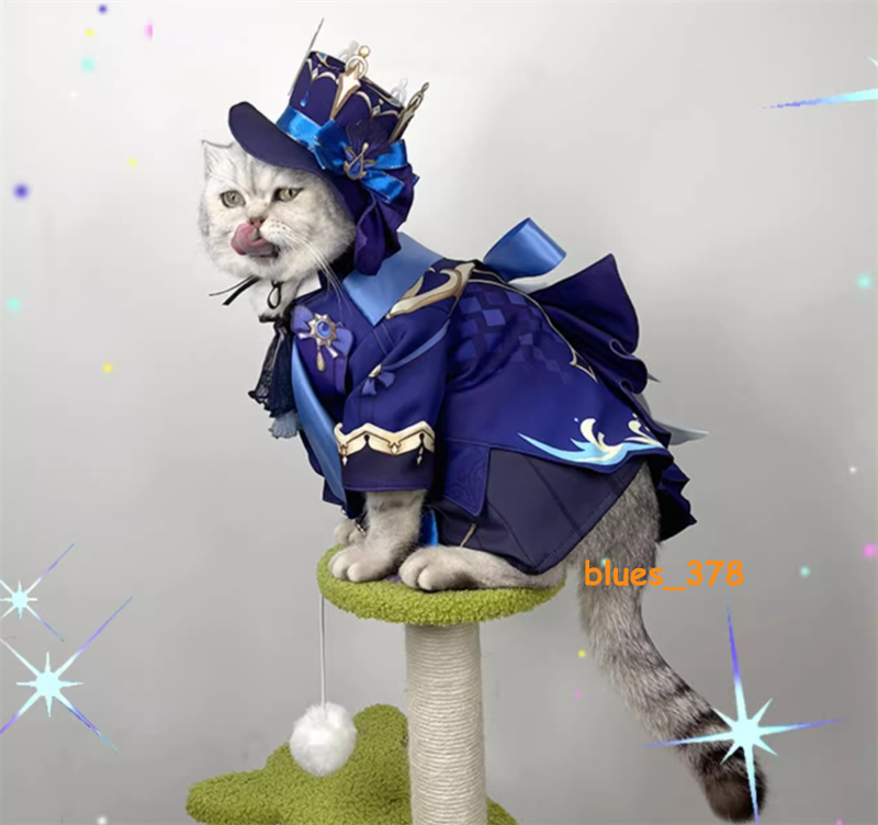 princess polly baby blue dress Girl wearing cat ears costume with striped purple dress and blue socks  cheerful pose illustration 67119420 Vector Art at Vecteezy main image 0