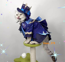 Genshin Impact Furina Cat Hat Clothes Dog Pet Cosplay Costume Dress up Costumes