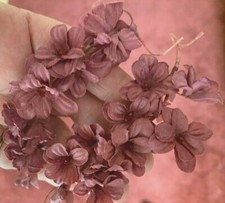 vintage mini lilacs cotton flowers bordeaux wine 1pc made in Japan