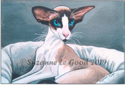Orientalische Katze Bicolor Siam Kunstdruck aus Original Gemälde Suzanne Le Good