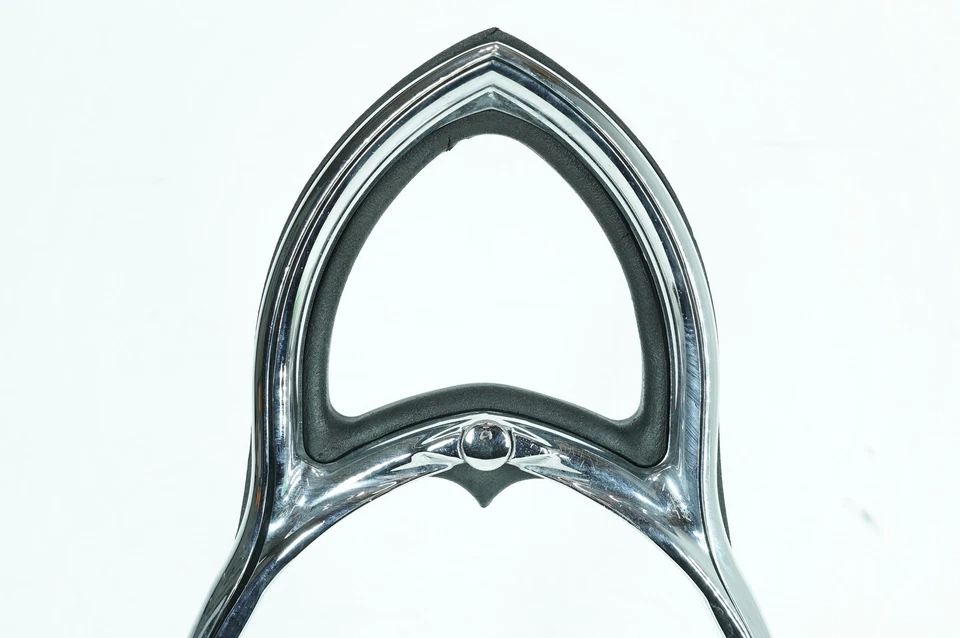 Harley Sportster XL883 C 2008 personalizada OEM barra trasera Sissy con cojín de respaldo Foto 4 de 4