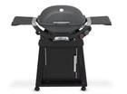 SALE! Weber Q2800N Propane Gas Grill Charcoal Grey 1500393 100% AUTHENTIC