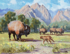 TOM HAAS painting 'Summer Range' oil 11"x14" Wyoming  Grand Tetons buffalo