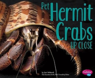 Pet Hermit Crabs Up Close by Jeni Wittrock (English) Paperback Book