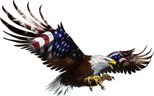 Soaring Eagle decal tailgate window hood  Camper RV motor home mural graphic
