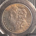 1989  Morgan Silver Dollar US  #500
