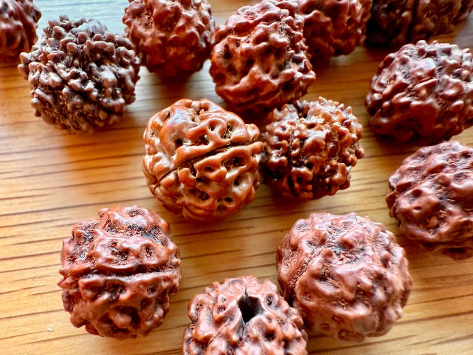 Gauri Shankar Nepal Natural Rudraksha Java Bead Lot Brown Round Seed 26 Pcs - Image 2 of 4