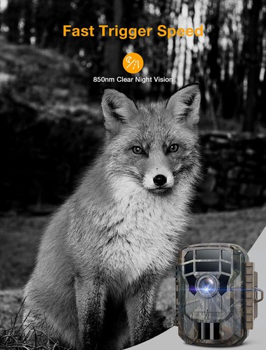 36MP Mini Hunting Trail Camera 2K Wildlife Animal Trap IR Night Vision Cam - Picture 7 of 17