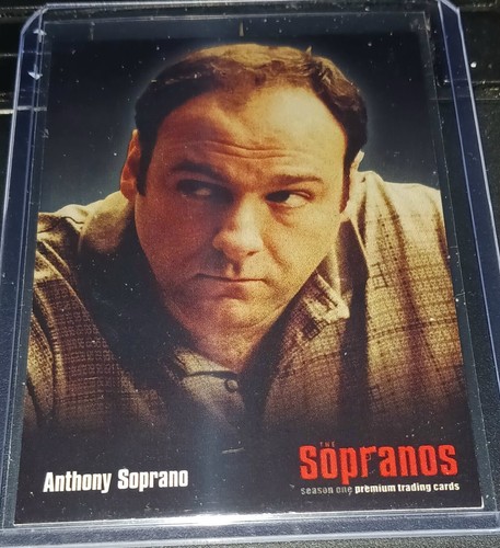 2005 INKWORKS "THE SOPRANOS" TONY & MIKEY PALMICE: MIKEY GETS STAPLED/BAD HIT - Picture 2 of 9