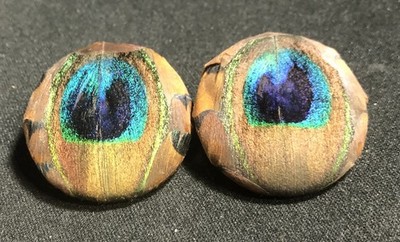Vintage Peacock Feather Clip on Round Earrings