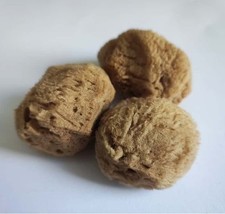 Natural Sea Sponge Face  Body lot 2