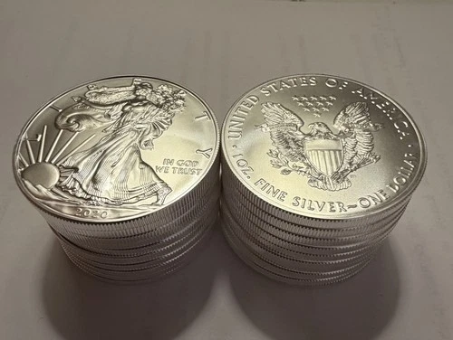 20 of 2020 $1 American Silver Eagle Dollar Coins 1 oz .999 Fine Silver