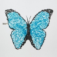 Kunstdruck Schmetterling Wandbild Morpho Falter Blau Print 30x40 Ohne Rahmen