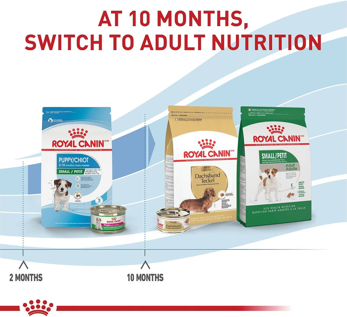 14 lb Bag Royal Canin Size Health Nutrition Small Puppy Dry Dog Food eBay