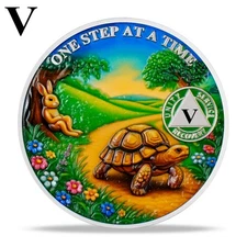 5 Years Sobriety Coin One Step at a Time AA Chips And Medallions Sobriety Gifts