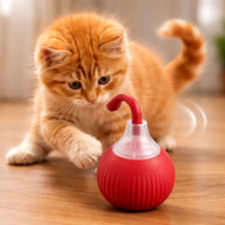 Interactive Cat Ball Toy