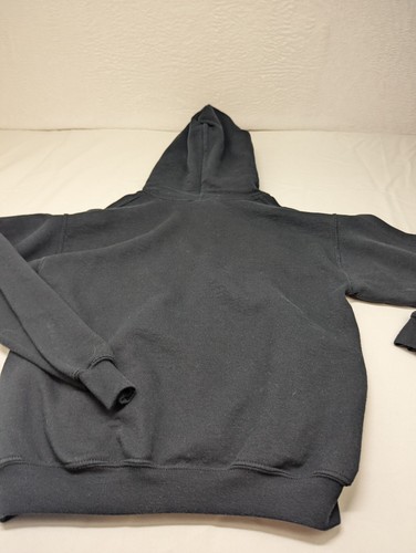 Silver Lake Sand Dunes Michigan Mens sizes S Small Hoodie Sand Flix - Picture 12 of 13