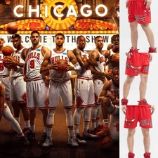 NWT Pro Standard Men's (Large) Chicago Bulls 6x Champions Woven Team Shorts $80